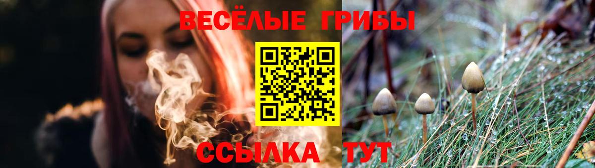 Галлюциногенные грибы Psilocybe  Псилоцибиновые грибы Magic Shrooms  Вход с VPN  Нижнекамск 