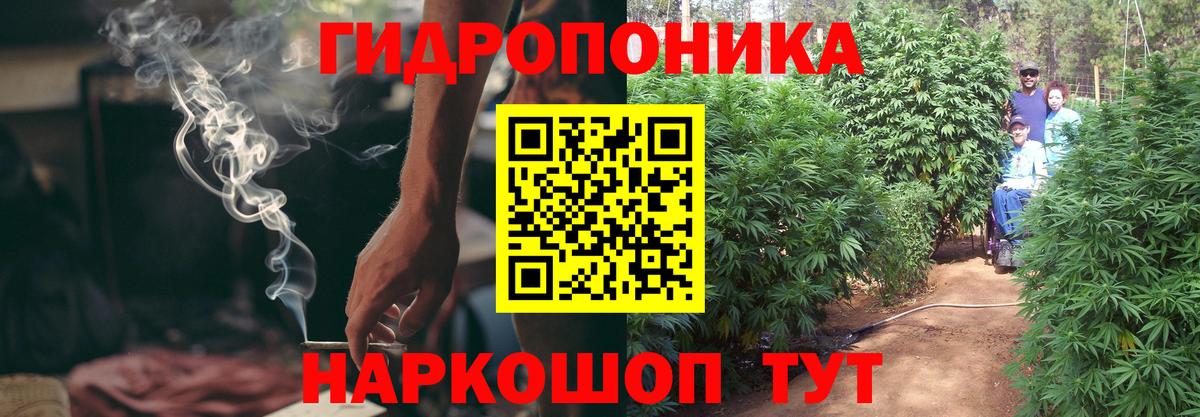 Конопля OG Kush  Бошки марихуана THC 21%  Нижнекамск  Вход с VPN 